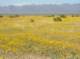 imgp0454_small.jpg
