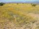 imgp0455_small.jpg