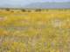 imgp0456_small.jpg