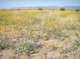 imgp0458_small.jpg