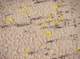 imgp0459_small.jpg