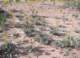 imgp0461_small.jpg
