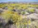 imgp0463_small.jpg