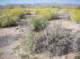 imgp0465_small.jpg