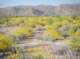 imgp0466_small.jpg