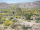 imgp0467_small.jpg
