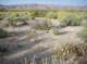 imgp0472_small.jpg
