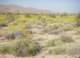 imgp0473_small.jpg
