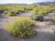 imgp0475_small.jpg