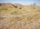 imgp0478_small.jpg