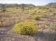 imgp0479_small.jpg