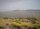 imgp0481_small.jpg