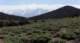 imgo6170021m_small.jpg