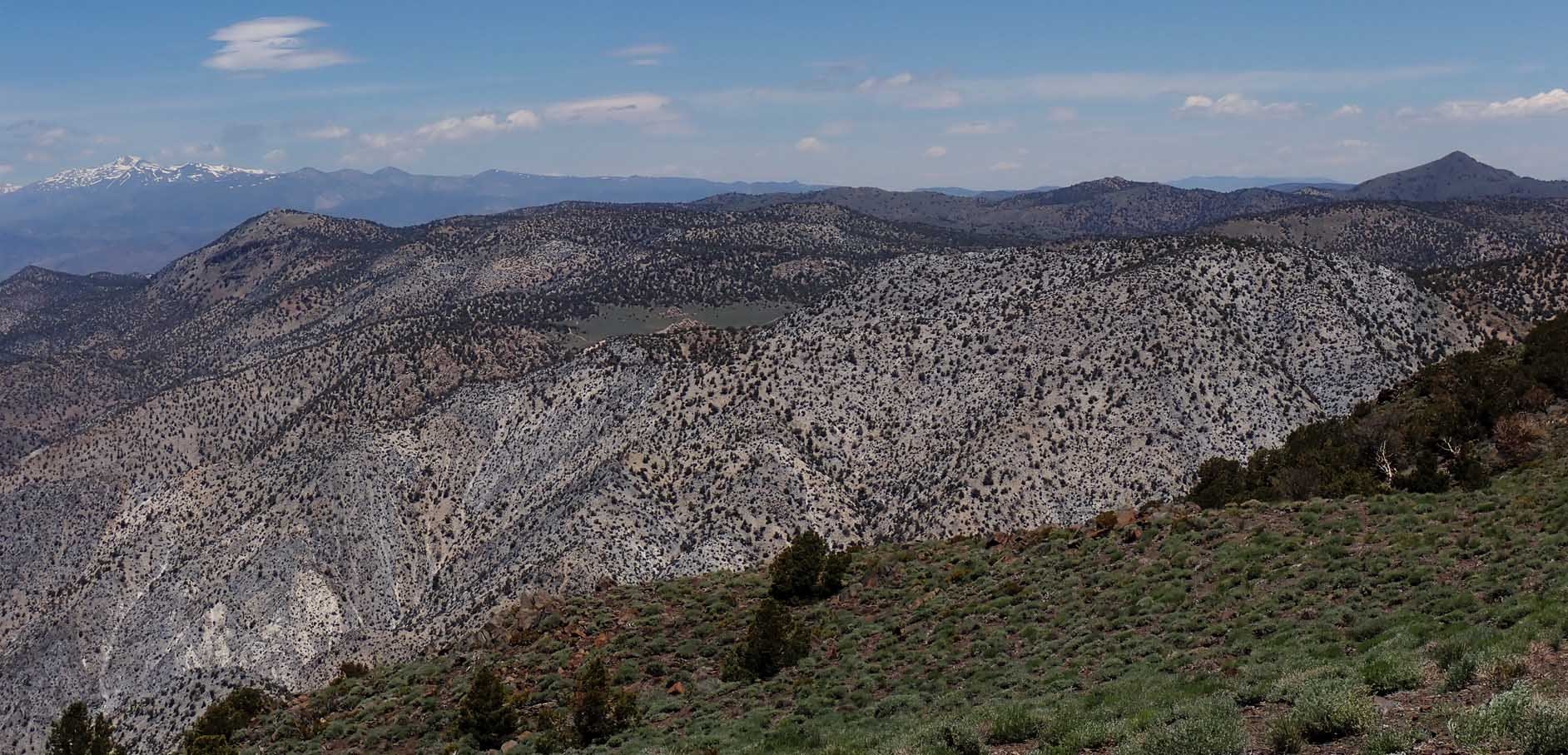 imgo6180055m.jpg