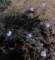 imgo6190077_small.jpg
