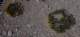 imgo6190095_small.jpg