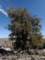 imgo6190117_small.jpg