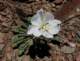 imgo6190167_small.jpg
