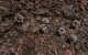 imgo6190169_small.jpg