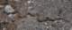 imgo6190196_small.jpg