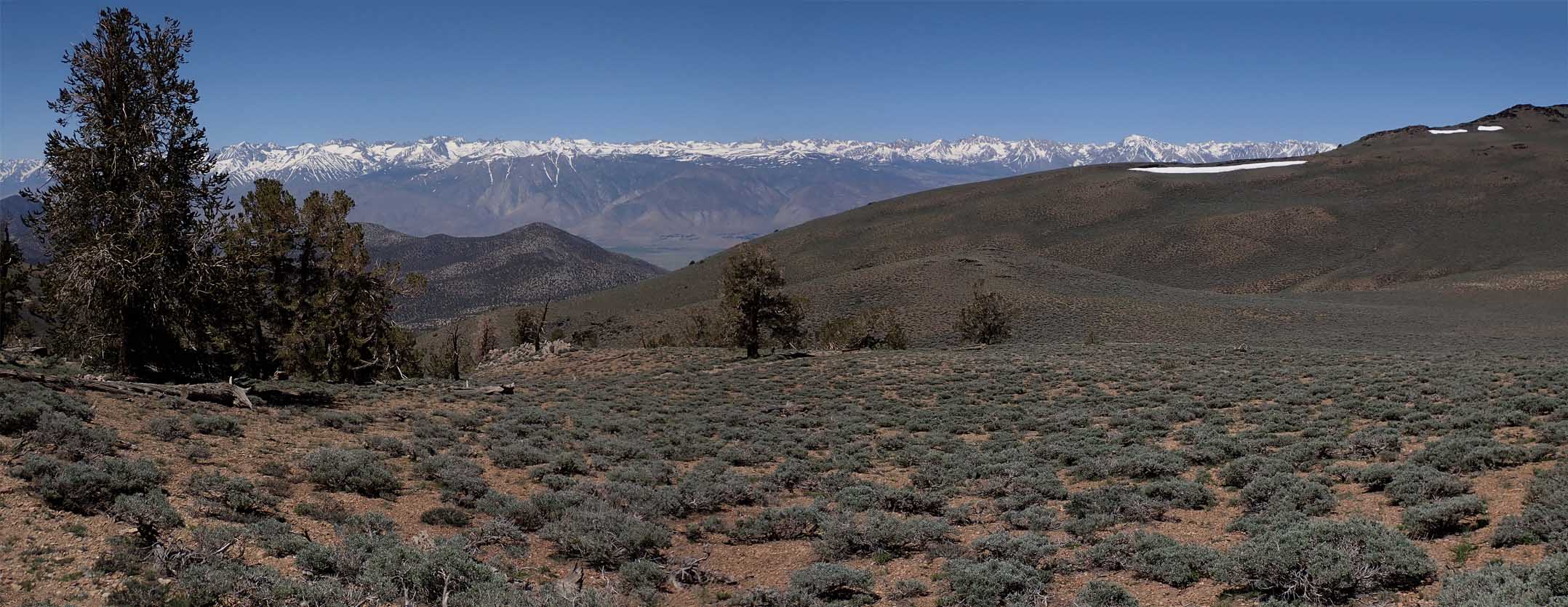 imgo6200228m.jpg