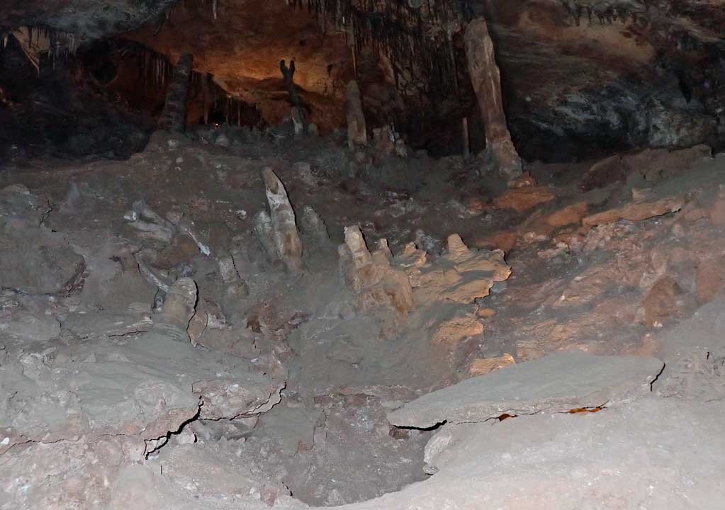 imgo260083.jpg