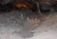 imgo260083_small.jpg