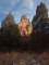 imgo260101_small.jpg