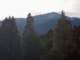 imgo260113_small.jpg