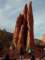 imgo260114_small.jpg