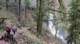 glxy20241129_115625_small.jpg