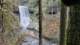 glxy20241129_120423_small.jpg