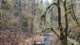 glxy20241129_121247_small.jpg