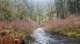 glxy20241129_125429_small.jpg