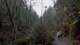 imgo290037_small.jpg