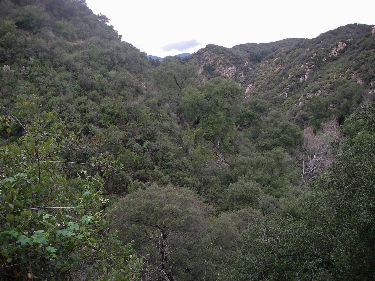 imgp0002.jpg