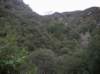 imgp0002_small.jpg