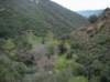 imgp0007_small.jpg