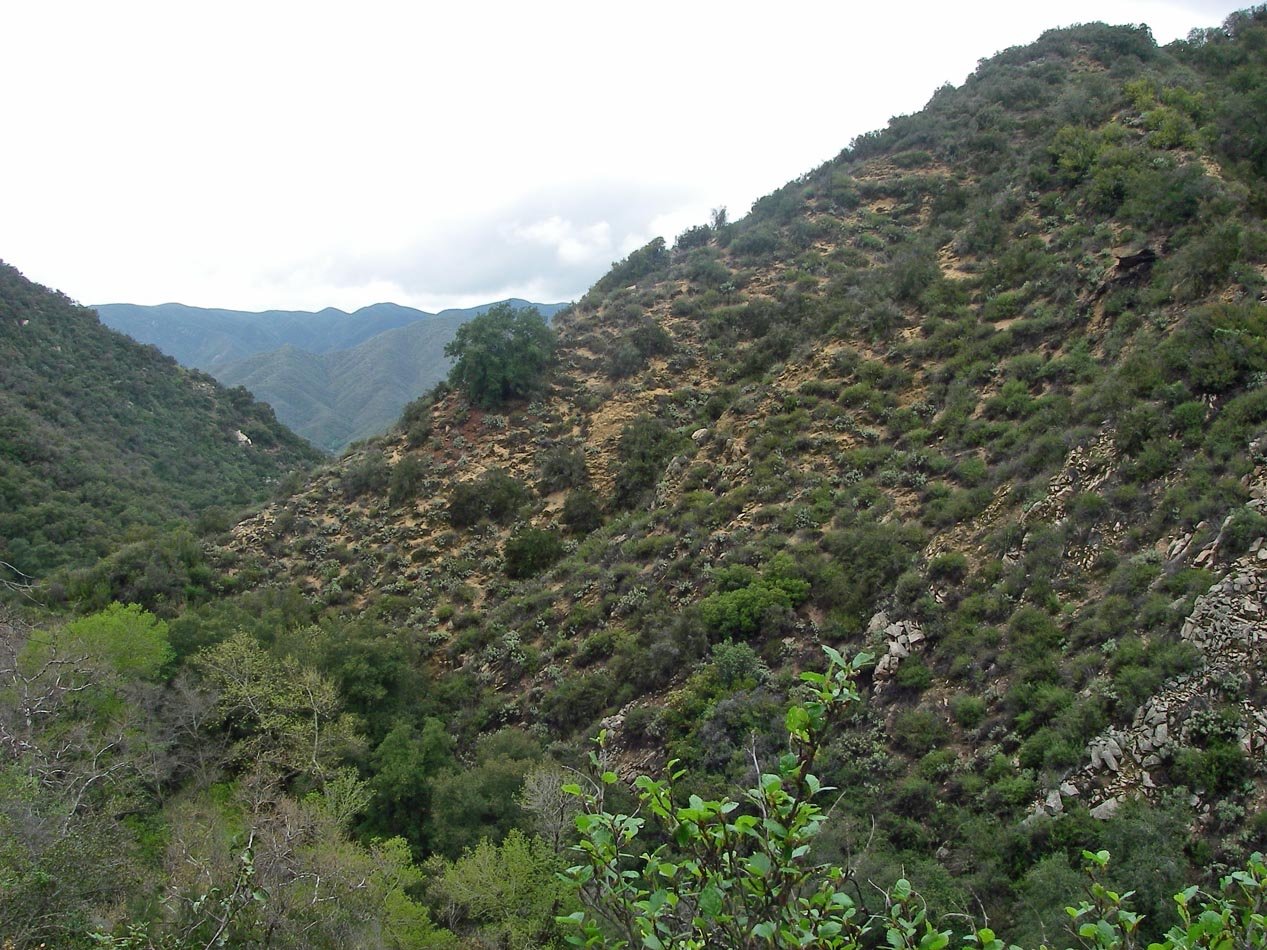 First training hike of the season at Tenaja Canyon 3/14/2020 