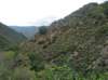 First training hike of the season at Tenaja Canyon 3/14/2020 