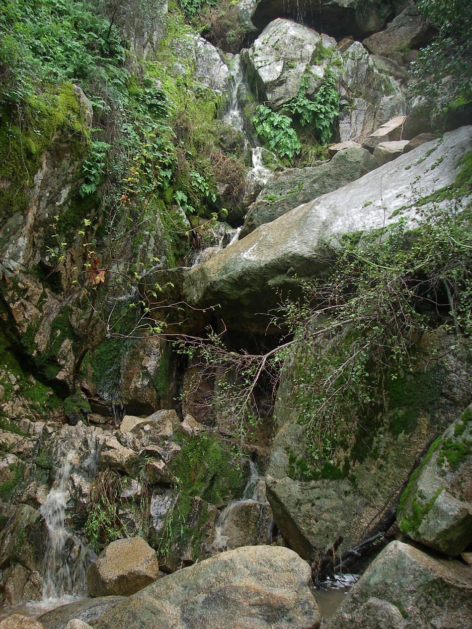 imgp0012.jpg