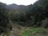 imgp0018_small.jpg