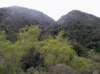 imgp0019_small.jpg