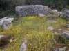 imgp0021_small.jpg