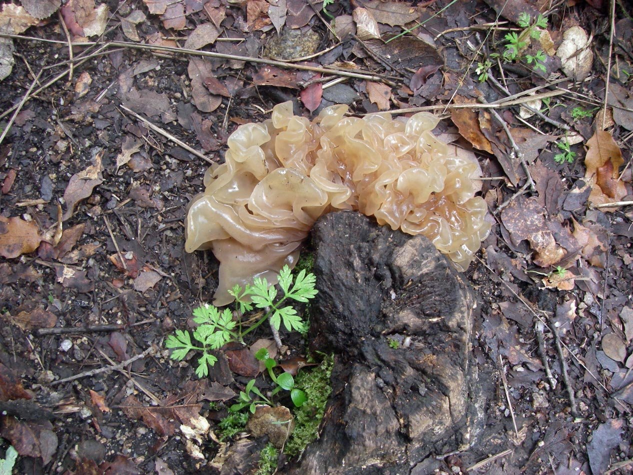 imgp0022.jpg