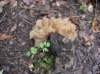imgp0022_small.jpg