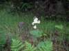 imgp0023_small.jpg