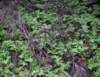 imgp0024_small.jpg