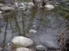 imgp0025_small.jpg