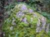 imgp0026_small.jpg